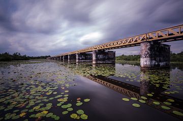 Swamp Bridge by Ronne Vinkx