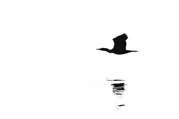 Vliegende aalscholver  boven water (silhouet) (zwart-wit) van Fotografie Jeronimo