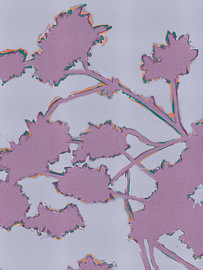 Winter Silhouette – botanical silhouette in lilac, grey-blue and soft orange by MadameRuiz