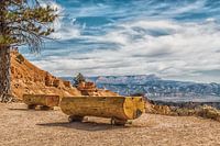 Grand Canyon Arizona