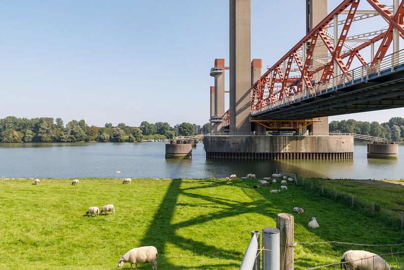 Spijkenisse Bridge by Joop Kalshoven