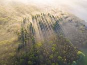 Mistige zonsopkomst boven het Drents Friese-Wold van Droninger thumbnail