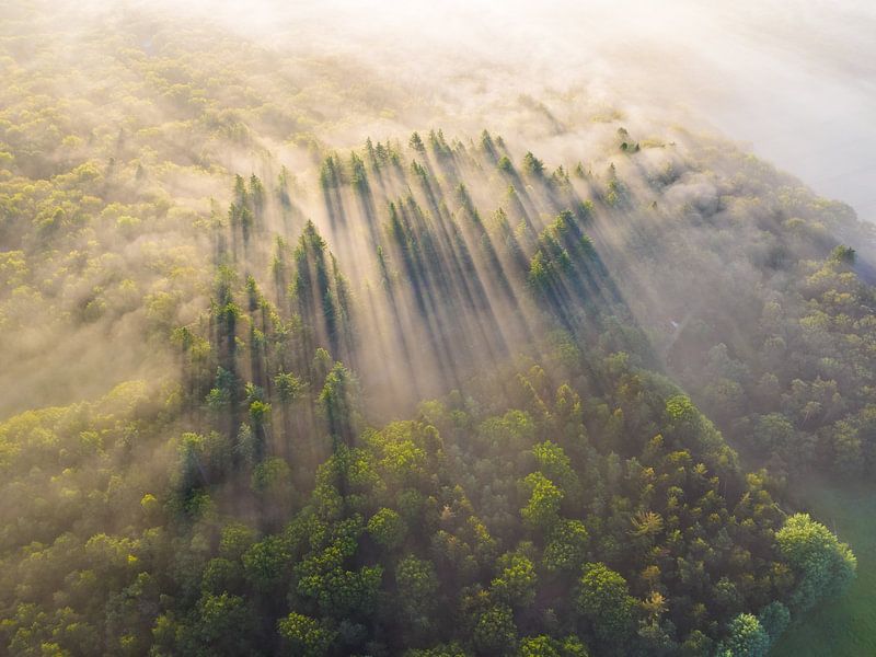 Mistige zonsopkomst boven het Drents Friese-Wold van Droninger