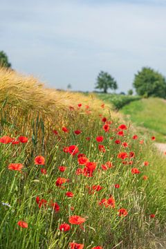 Zomer! van Evelien Heuts-Flachs