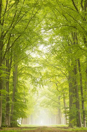 De groene poort