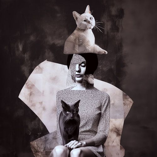Kattenvrouw zwart wit collage