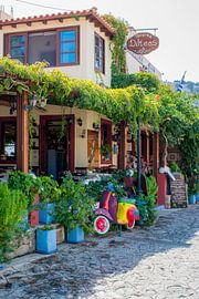 Kos Griekenland by Patricia van Loock