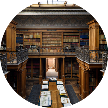 Bibliotheek - Teylers Museum van Teylers Museum