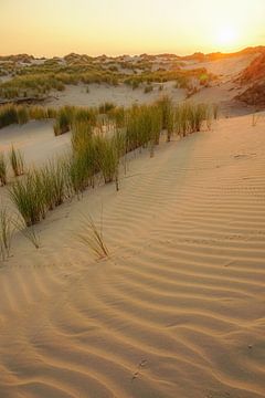 Terschelling, was für eine Insel. von Dirk van Egmond