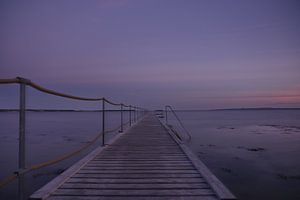 Marcher dans le ciel violet