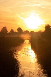 Sunrise by Danique Verweij