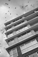 Gebouw en vogels