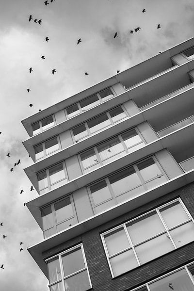 Gebäude und Vögel. von Wouter Bos