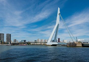 Erasmusbrug Rotterdam van Brian Morgan
