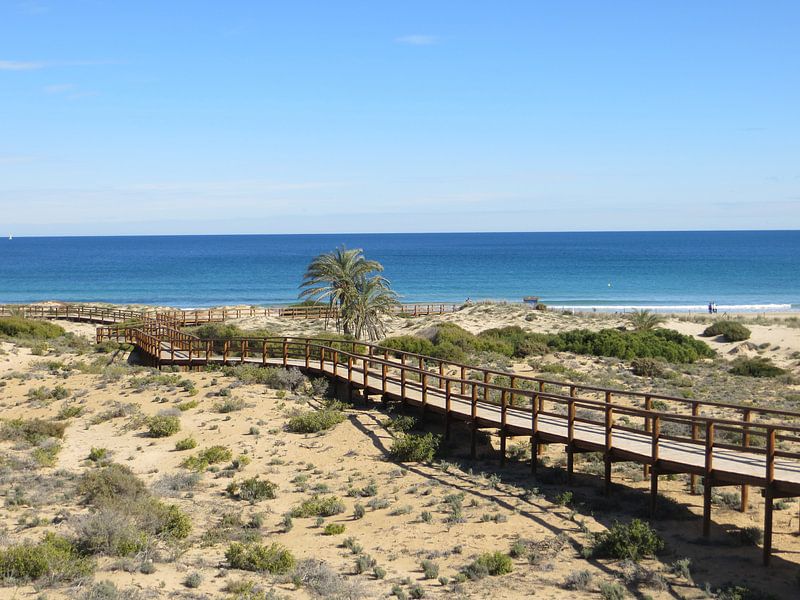 Natuur gebied Carabassi in de ochtend by Elly Meijer - Willemsen