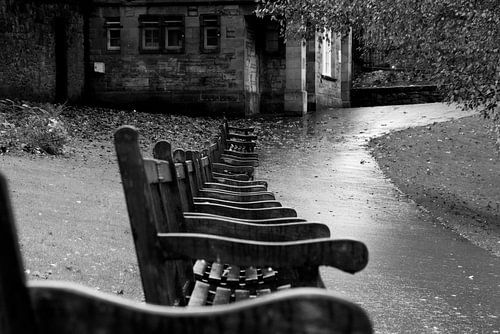 Lonely benches in an autumnal park