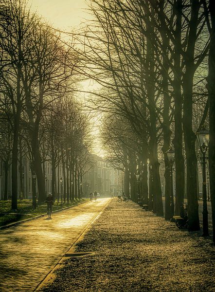 Verträumtes Den Haag von Victoria Barberien