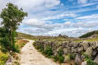 Road to heaven