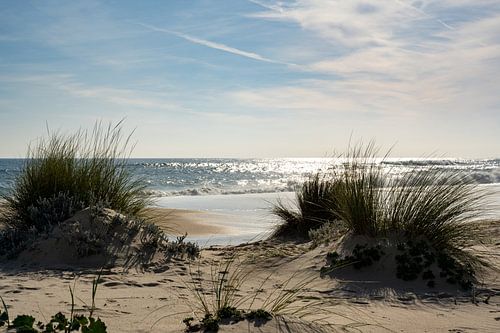 Droomkust in Portugal