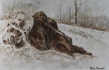 Black bears by Wim Romijn