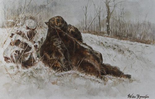Zwarte beren