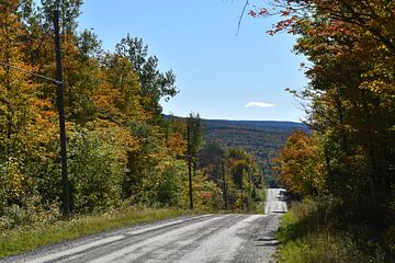 The lake route in autumn by Claude Laprise