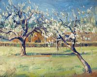 Appelbloesem