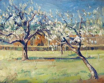 Appelbloesem van Nop Briex