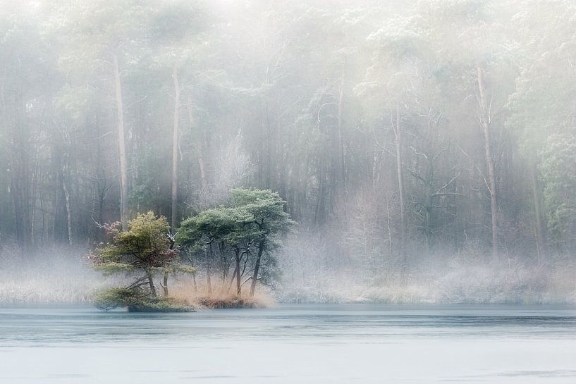 Oisterwijk fens and woods by Betere Landschapsfoto