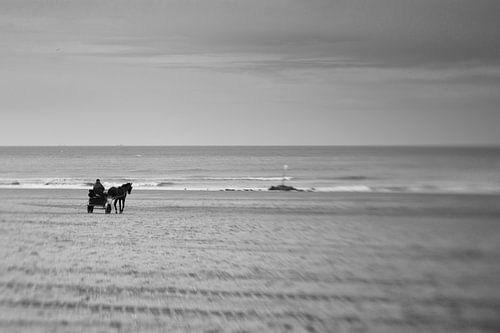 the sky will fall down