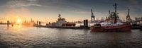 Panorama van de haven van Hamburg bij prachtige zonsopgang van Jonas Weinitschke thumbnail