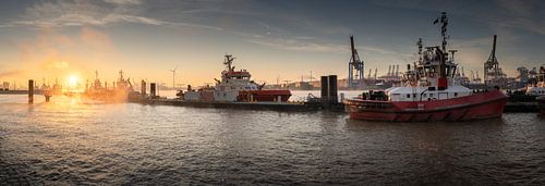 Harbour landscape in Hamburg with tugboats at sunrise