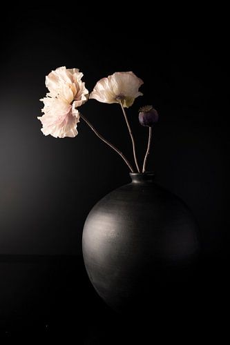 Black vase with pink poppies