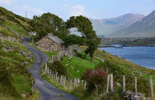 Connemara, Ireland - III