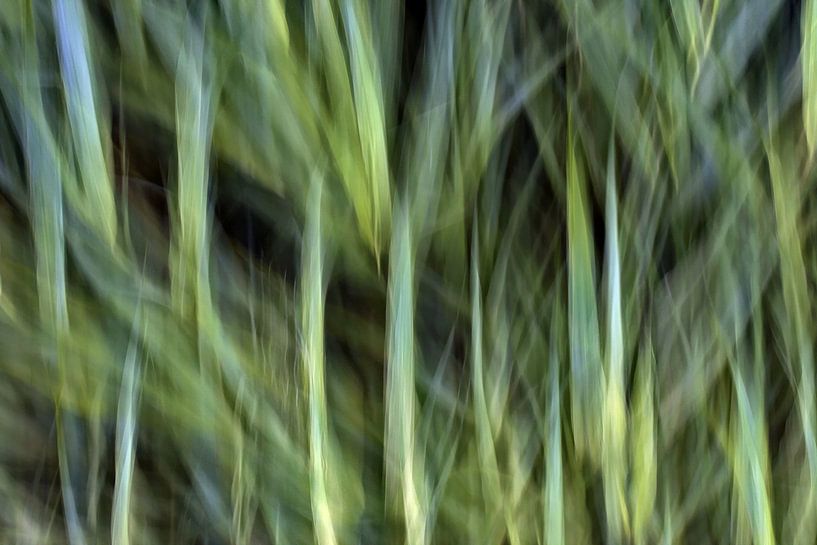 Urban - Botanicals van arte factum berlin