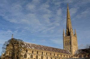 Norwich Kathedraal van Richard Wareham