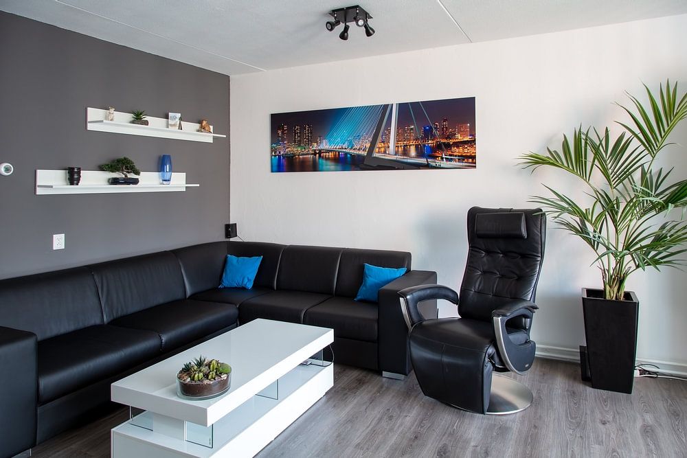 Panorama Rotterdam with the Erasmusbrug  by Anton de Zeeuw 