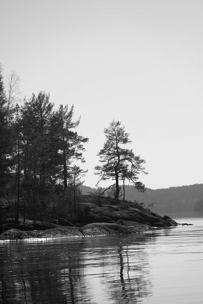 at the lake by Nienke Stegeman
