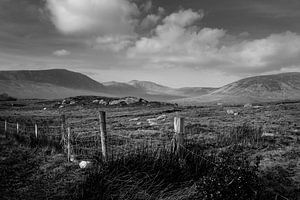 Irische Moorlandschaft (B&W) von Bo Scheeringa Photography