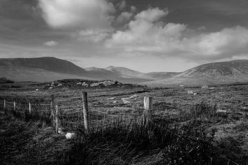 Irish Bog Landscape (B&W)