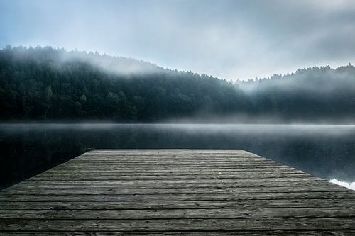 Lake in the fog