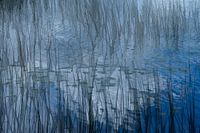 Blauw