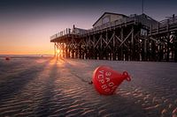 B A D E V E R B O T #2