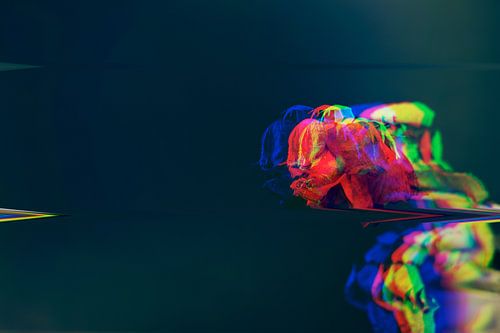 withered rose in front of black glitch art