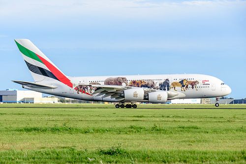 Airbus A380 d'Emirates aux couleurs de United for Wildlife.