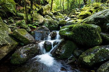 Chute d'eau dans la forêt vierge de Madère sur ViaMapia