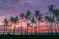 Zonsopkomst bij Kapaa Beach Park, Kauai, Hawaï van Henk Meijer Photography thumbnail