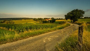 Landweg door Limburgs landschap van piet douma
