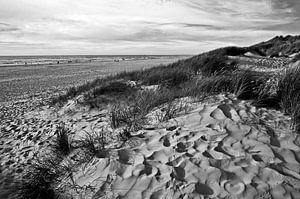 Sanddünen Poesie auf Jütland in Dänemark 