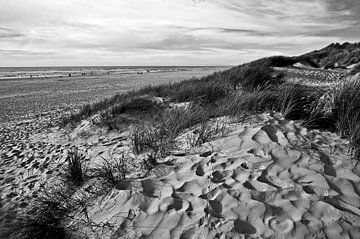 Zandduin poëzie op Jutland in Denemarken